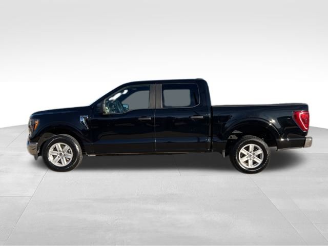 2023 Ford F-150 XLT photo 3