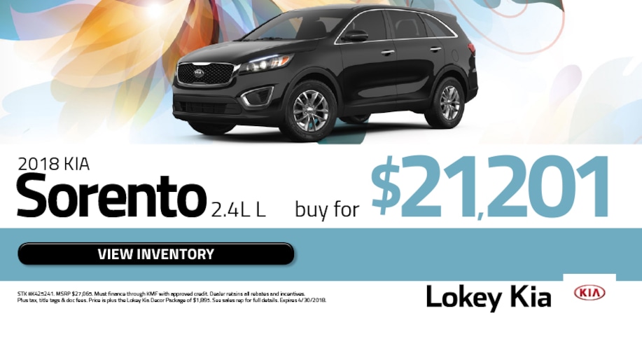 New 20162017 Kia and Used Car Dealer Serving Clearwater Lokey Kia