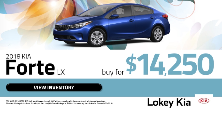 New 20162017 Kia and Used Car Dealer Serving Clearwater Lokey Kia