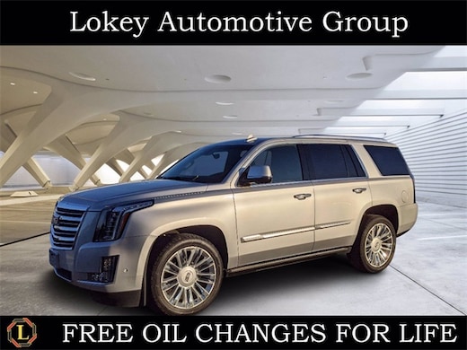 Used Inventory For Lokey Automotive Group In Clearwater Fl 33761 That Includes Used Cars Trucks And Suv
