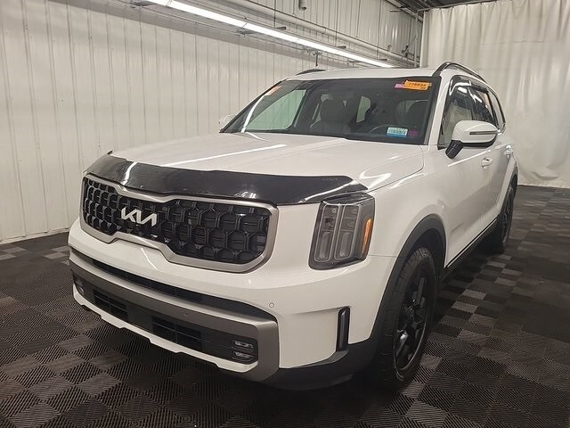 2023 Kia Telluride X-Pro photo 2