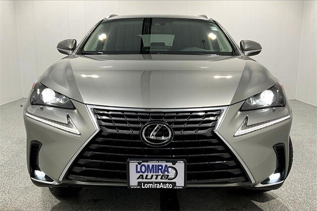 2019 Lexus NX 300 Luxury photo 2