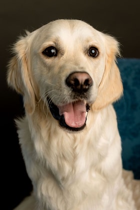 Staff member Noble from 657cc8df9b38