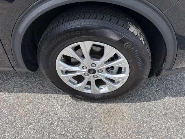 Photo 9