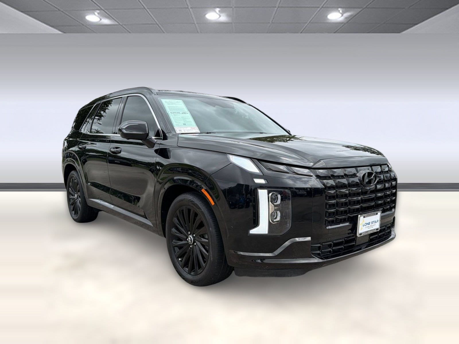 Palisade Calligraphy Night Edition SUV
