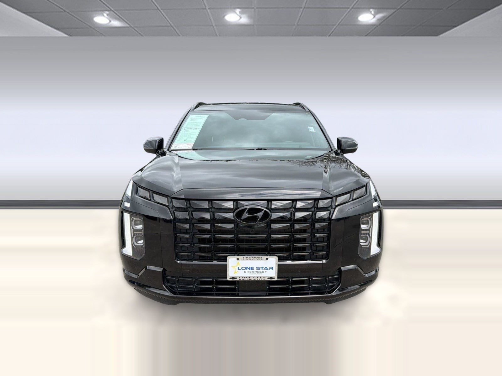 Palisade Calligraphy Night Edition SUV