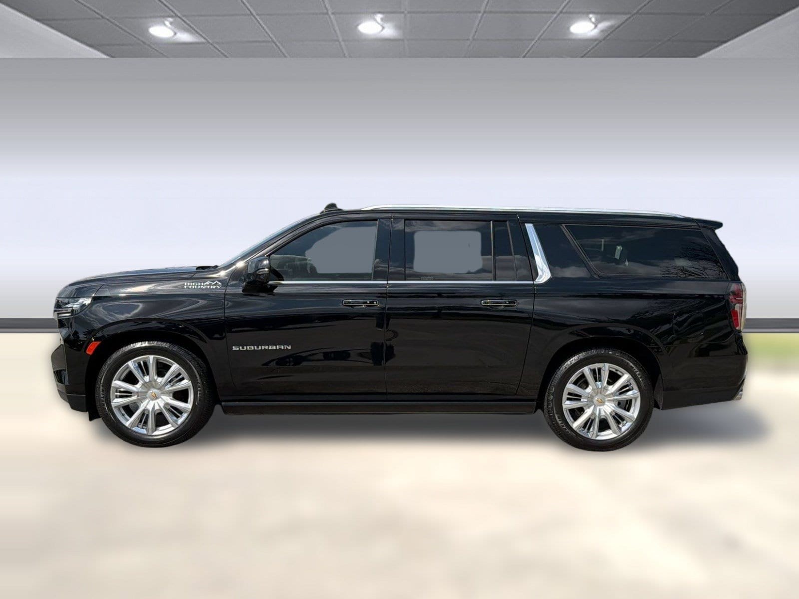 1GNSKGKL1RR156681
