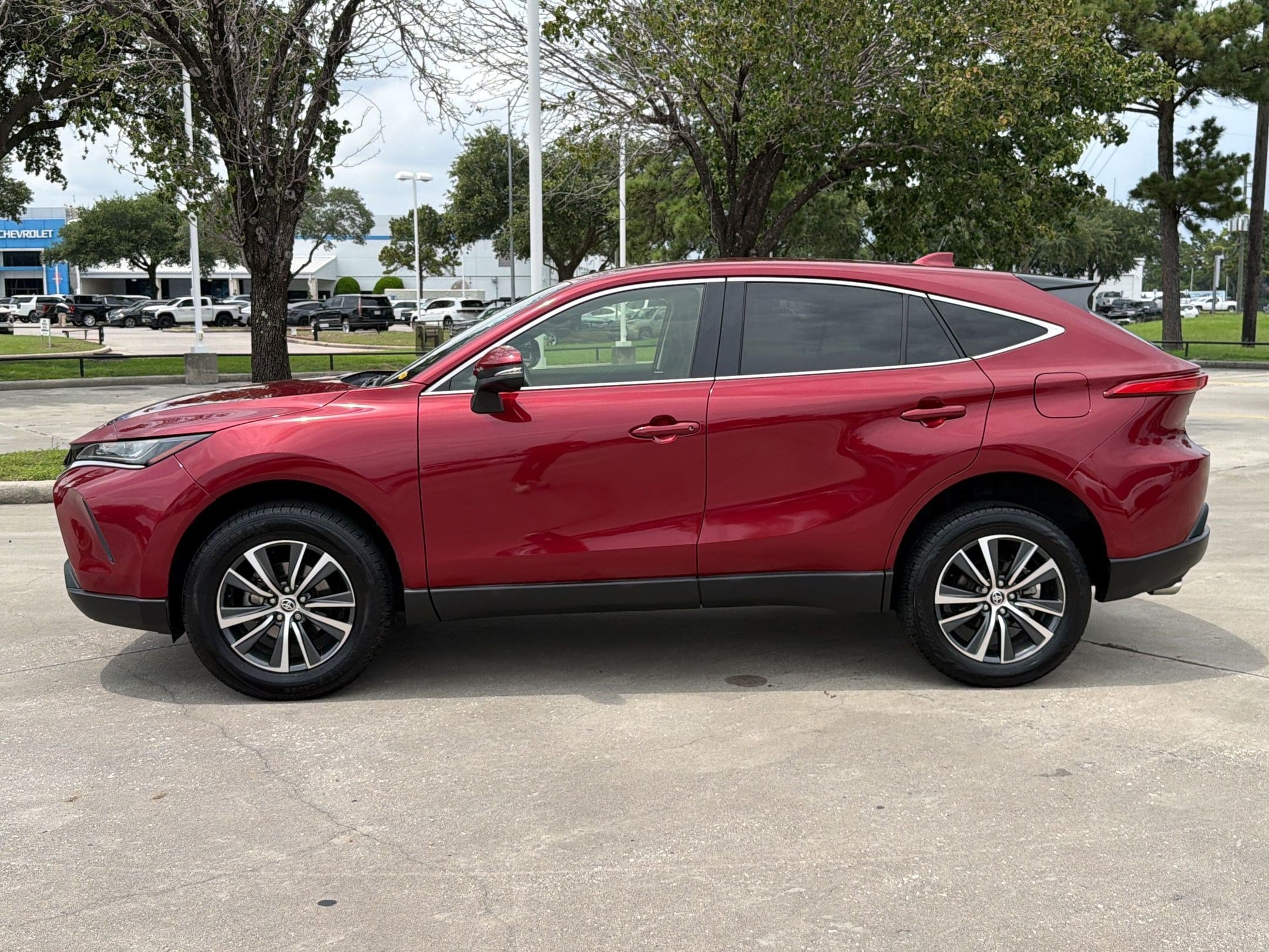 Venza LE SUV