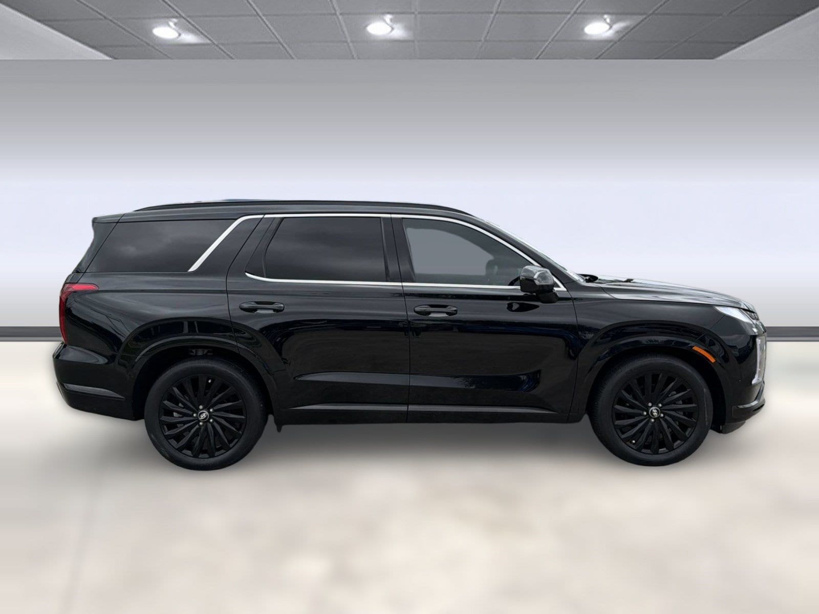 Palisade Calligraphy Night Edition SUV