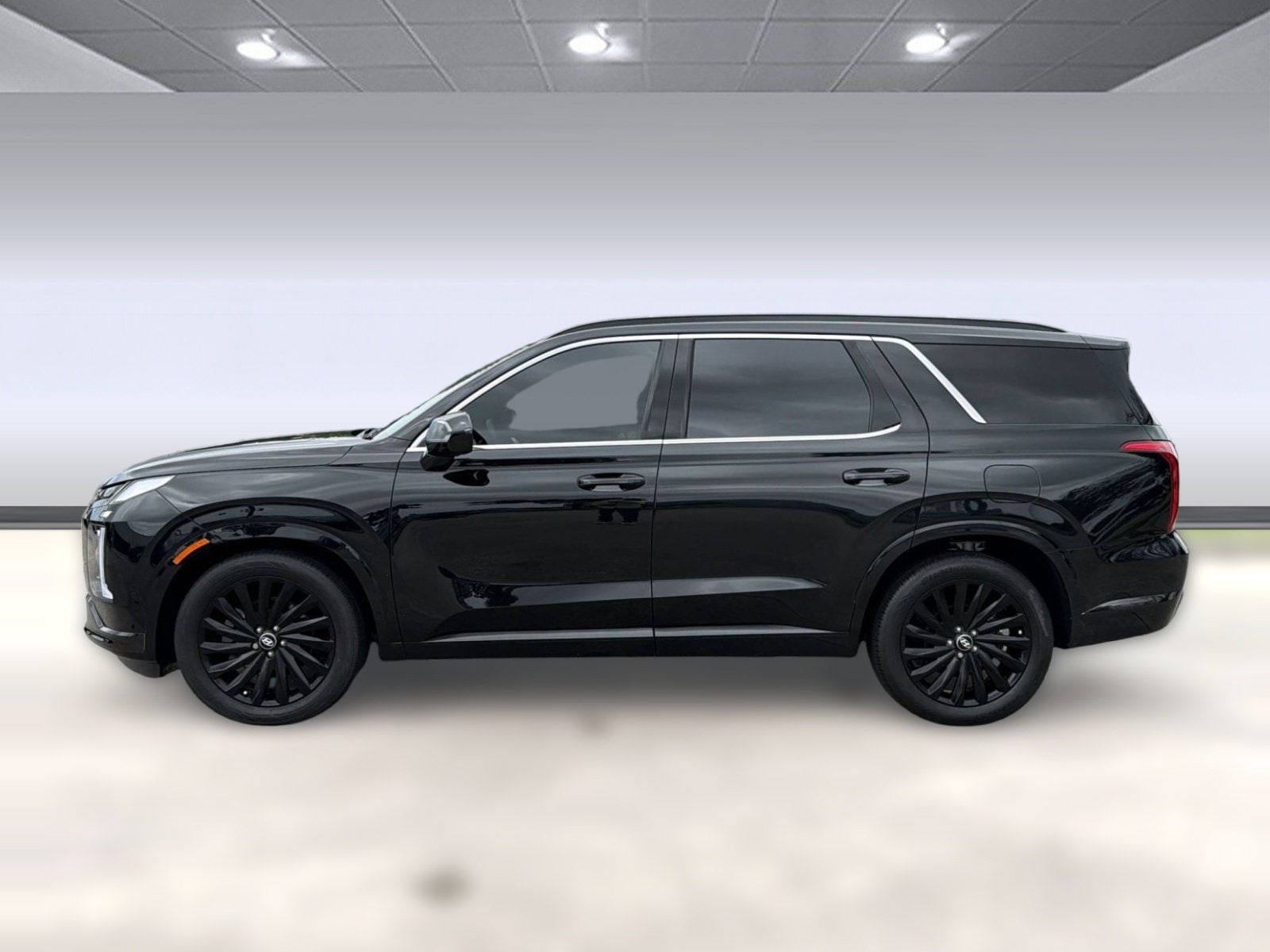 Palisade Calligraphy Night Edition SUV