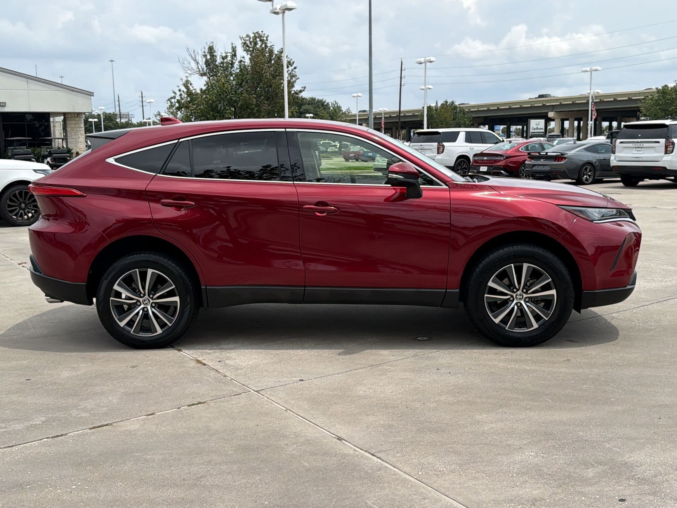 Venza LE SUV