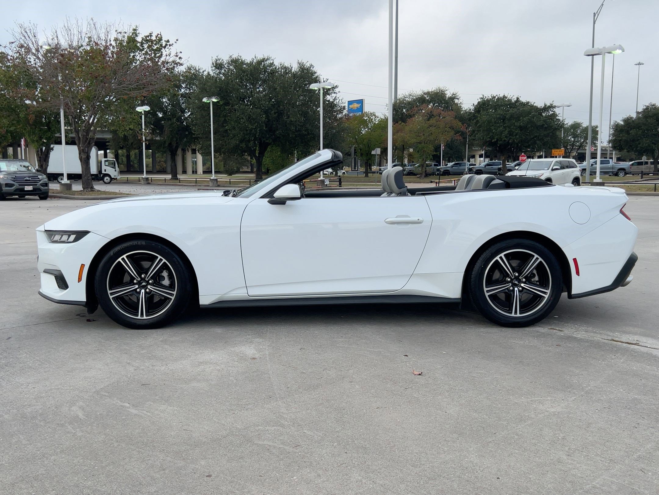 2024 Ford Mustang EcoBoost Convertible photo 2