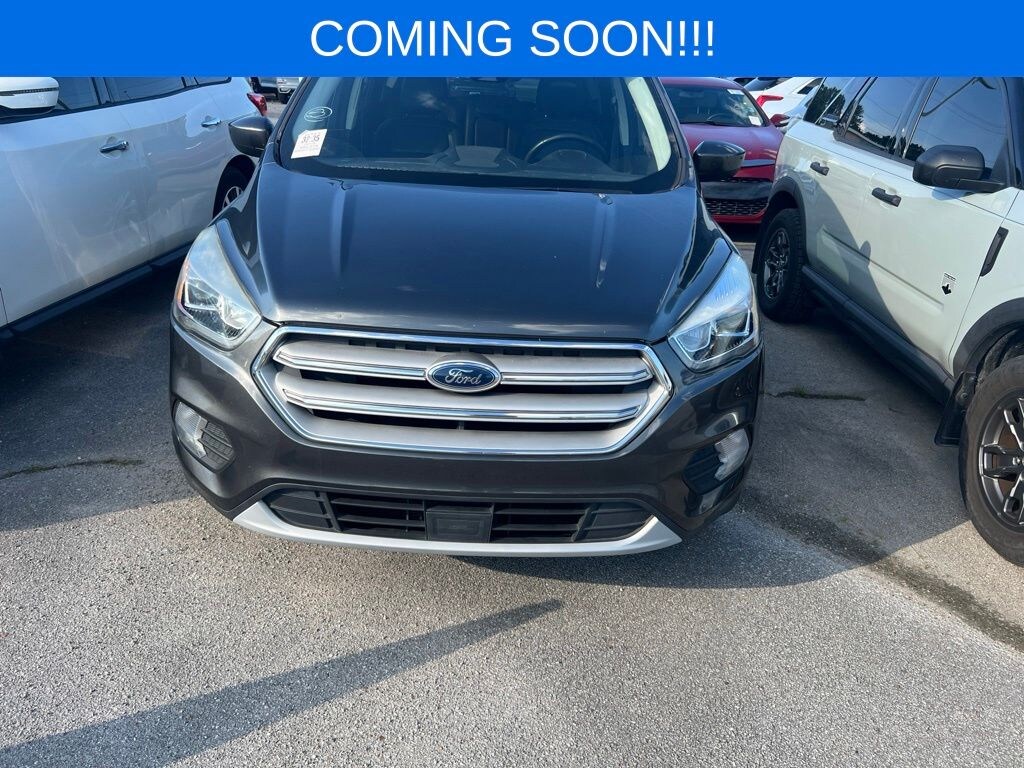 Used 2019 Ford Escape SEL SUV