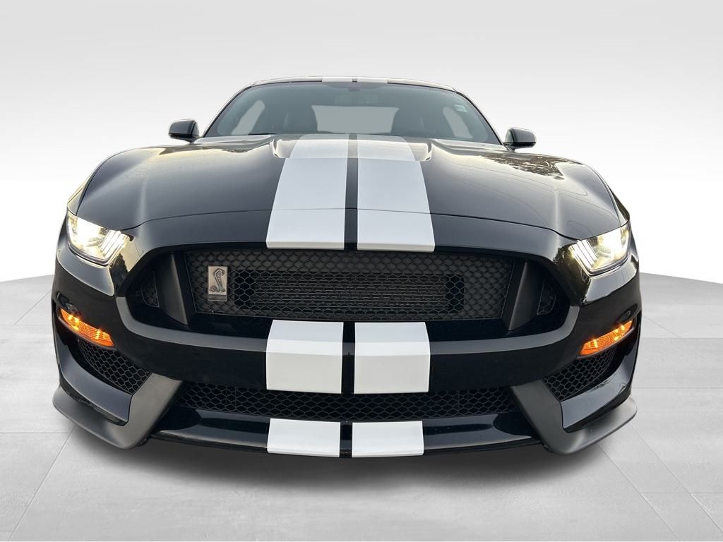 2017 Ford Mustang Shelby photo 2