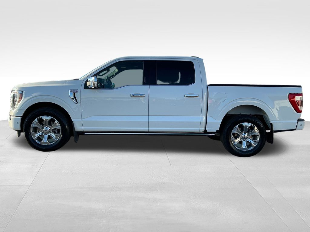 2023 Ford F-150 Platinum photo 2