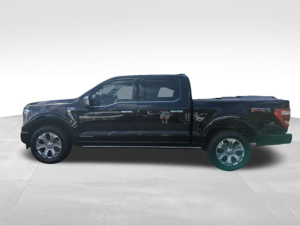 2023 Ford F-150 Platinum photo 4