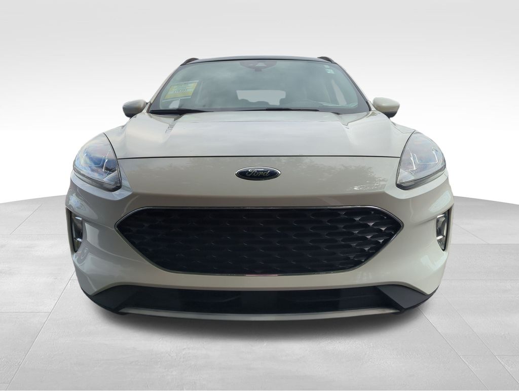2020 Ford Escape SEL photo 2