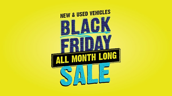 Black Friday Sale All November