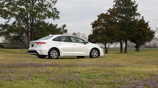 First Drive: 2020 Toyota Corolla LE Hybrid