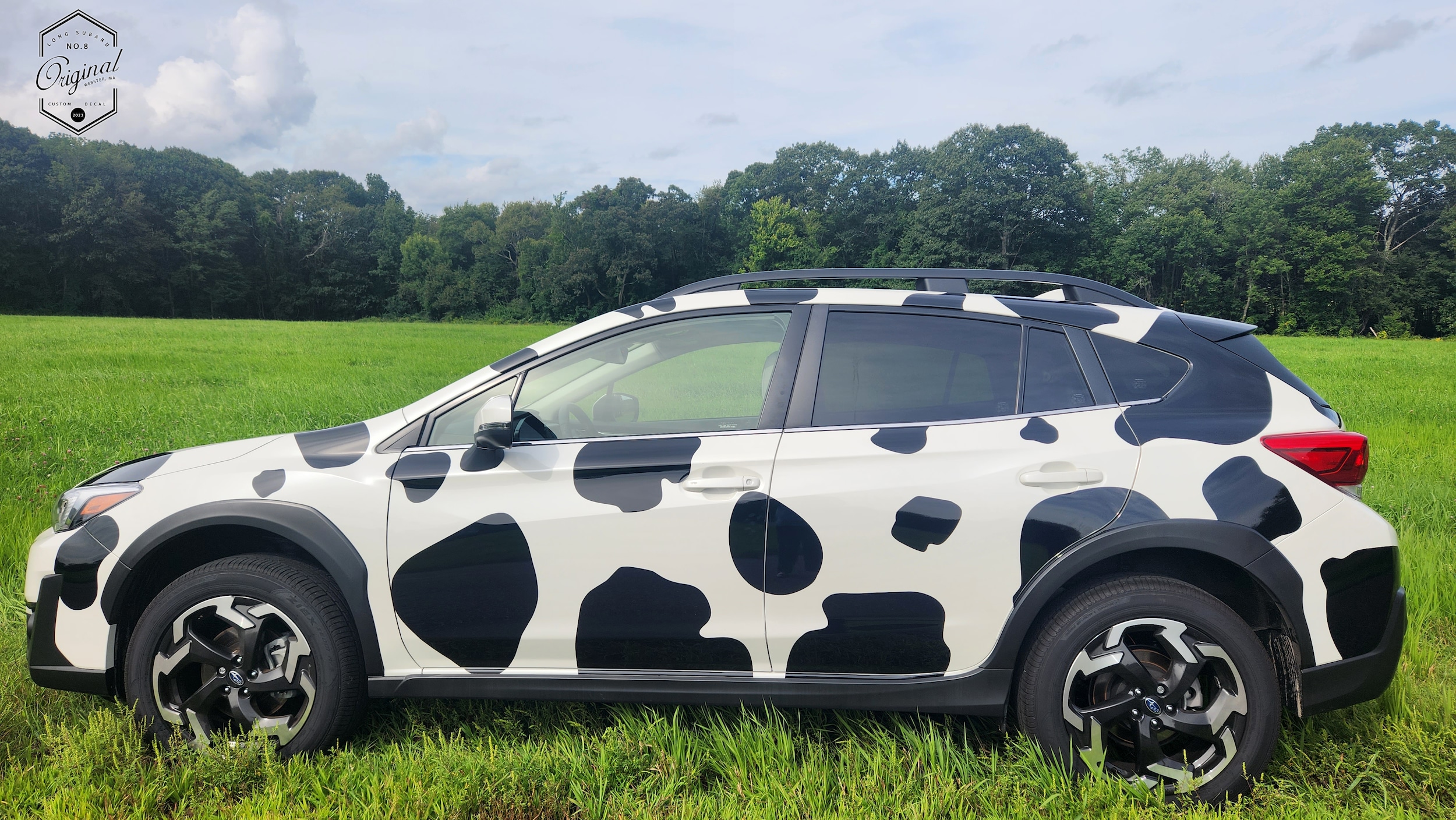 CowTrek-08282023-2.jpg