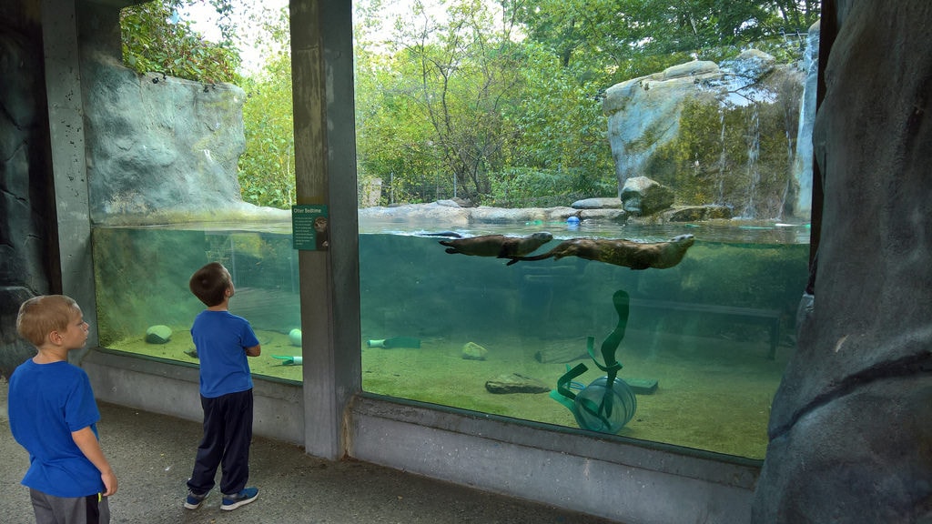 Take Your Long Subaru To The Worcester Ecotarium Long Subaru