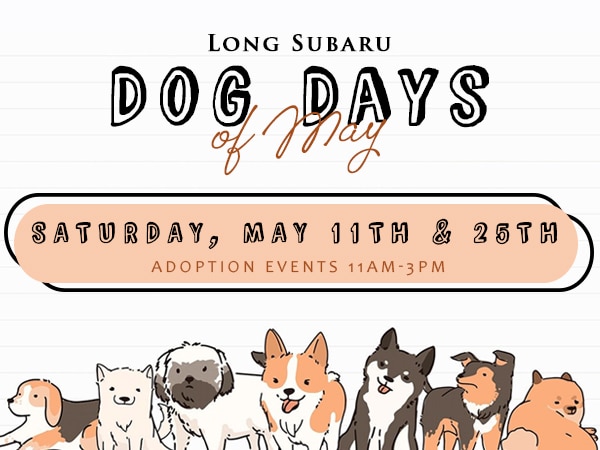 LS-Dog-Days-of-May-05012024-600x450.jpg
