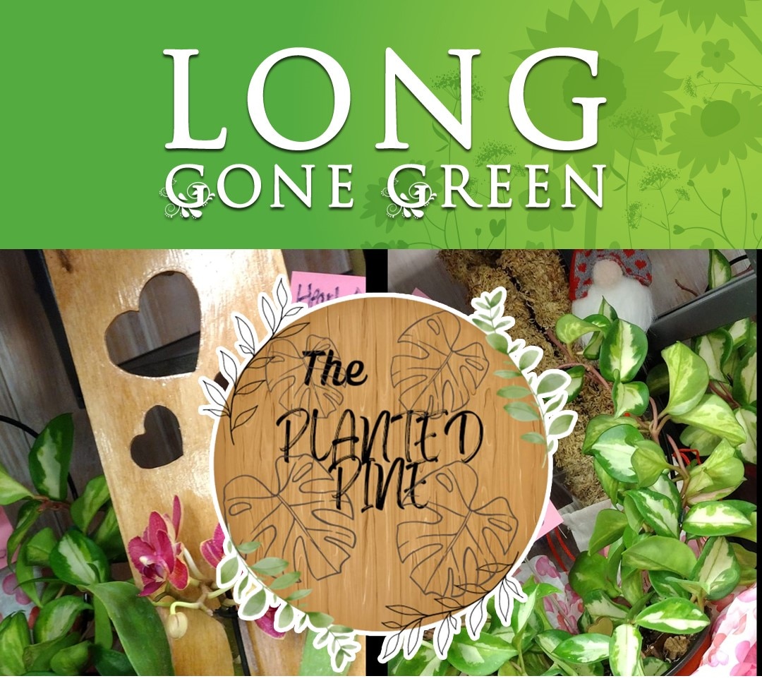 Long gone green logo with the planted pine logo and flowers behind it. 