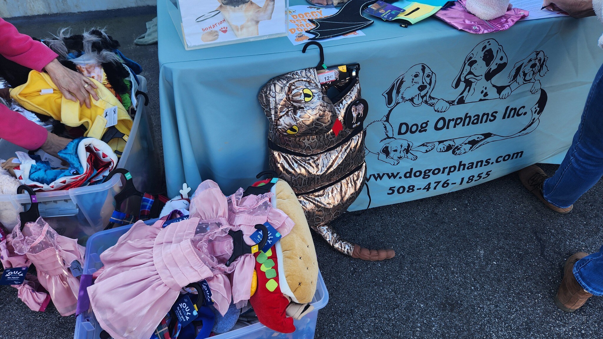 Dog Orphans set up at Long Subaru