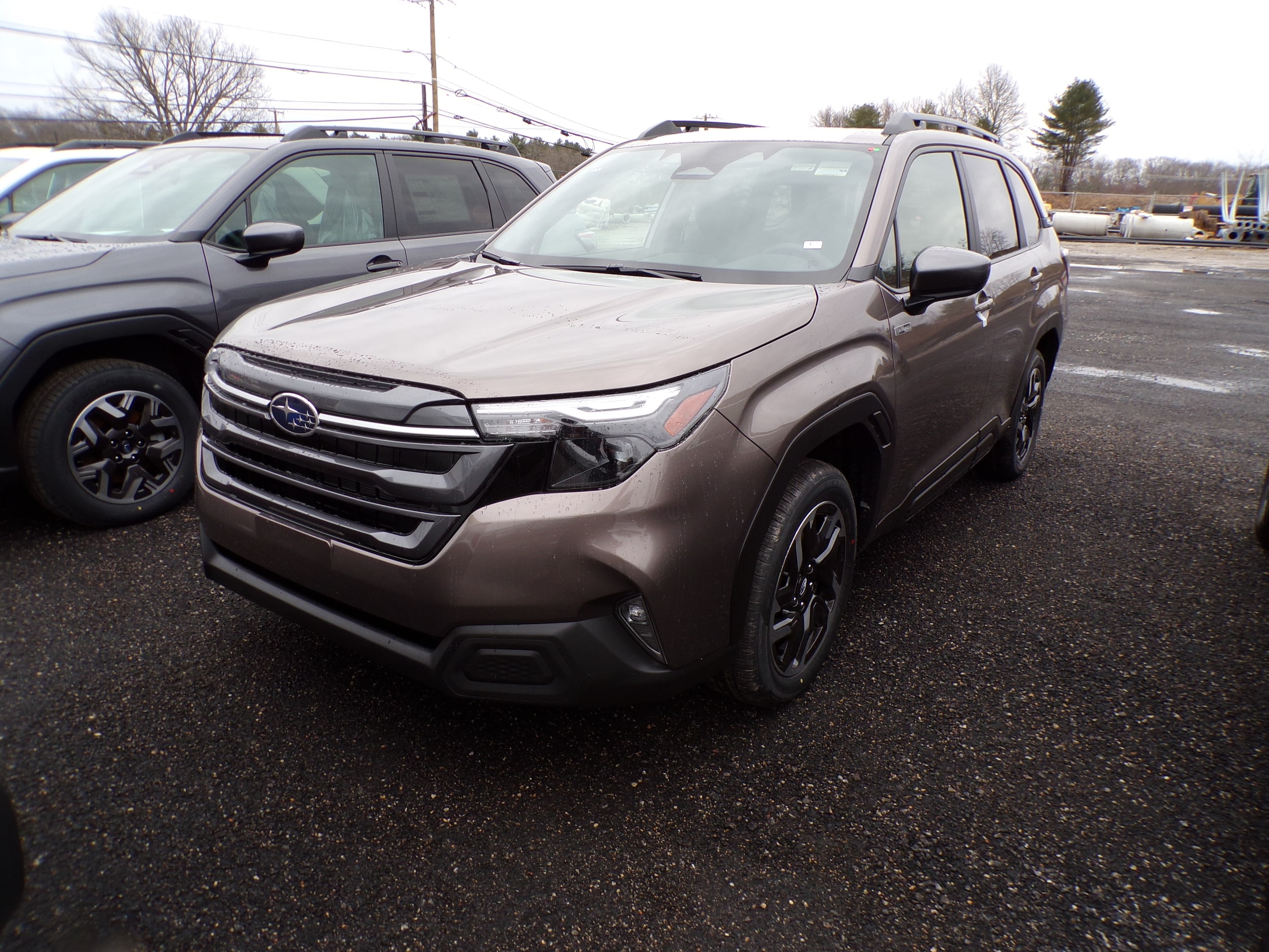 2025 Subaru Forester Premium's photo
