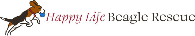 HLBR_logo_test_5.png