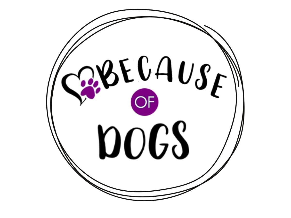 Because of dog logo with a heart and a purple paw print.