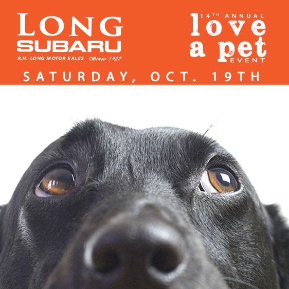 Love-A-Pet event logo with a black lab peaking up