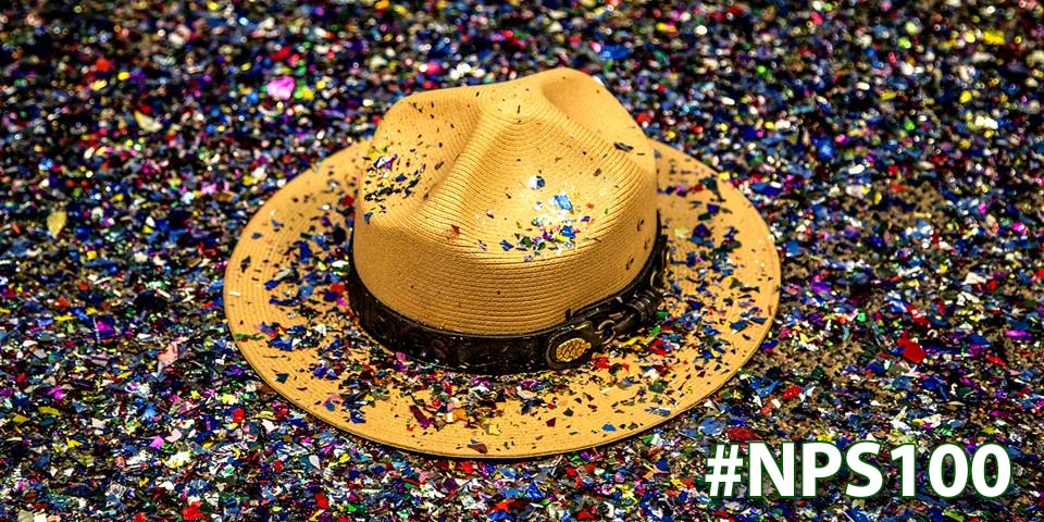 NPS100.jpg