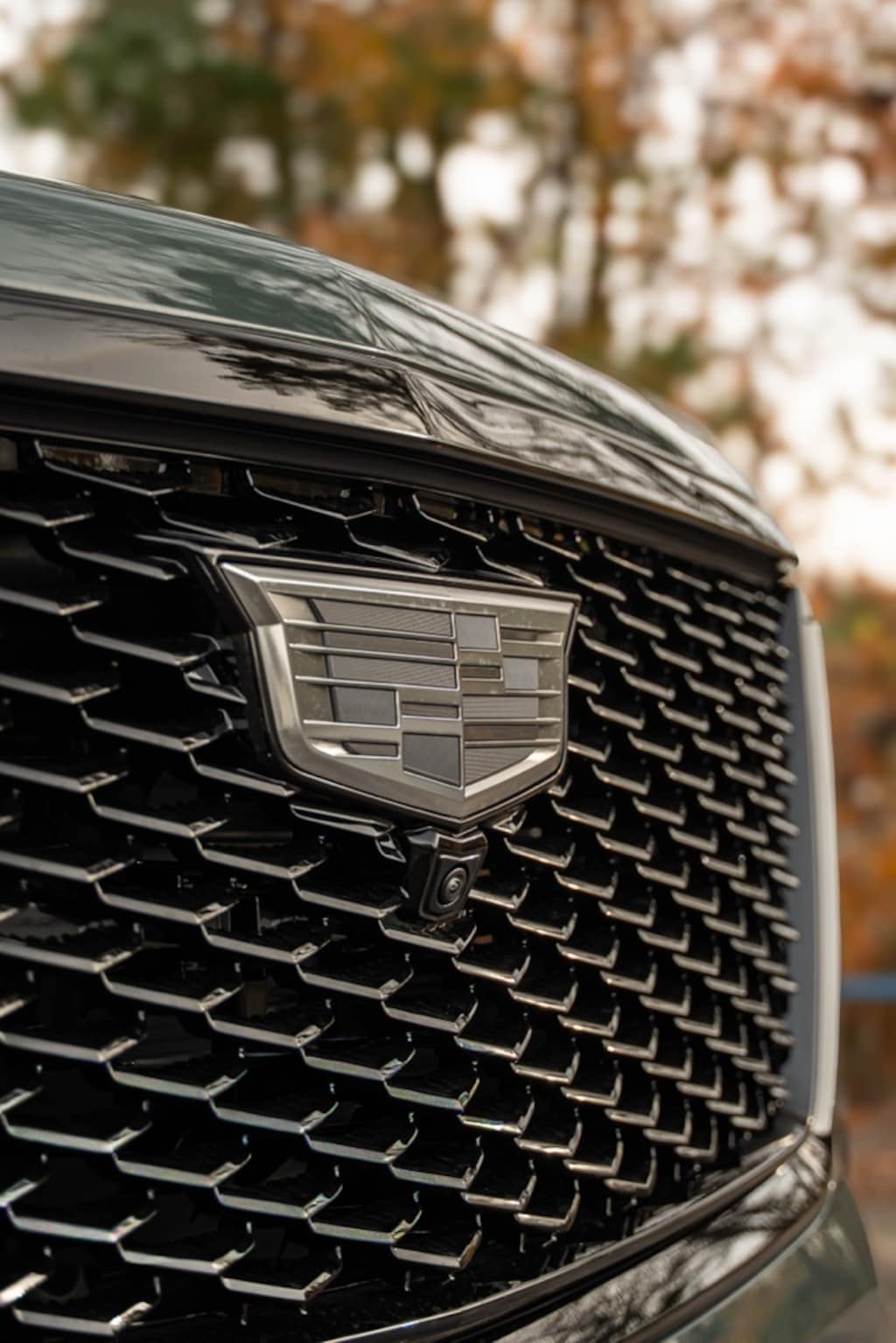 Used 2026 Cadillac Escalade Sport SUV