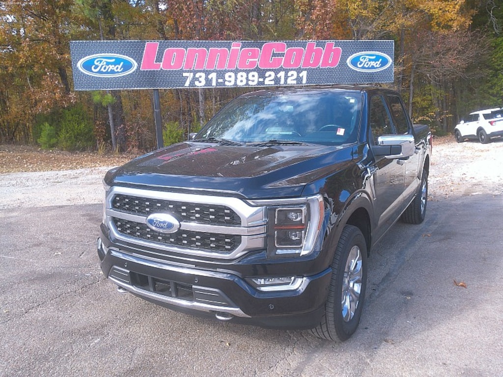 Used 2022 Ford F-150 4WD Platinum Full Size Truck