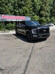  Ford F-150 4WD
