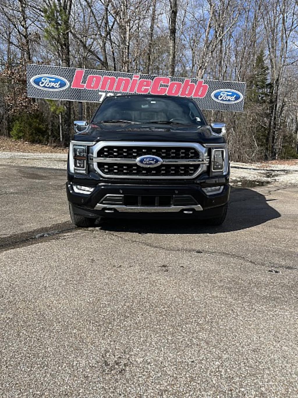 Used 2021 Ford F-150 4WD Platinum Full Size Truck