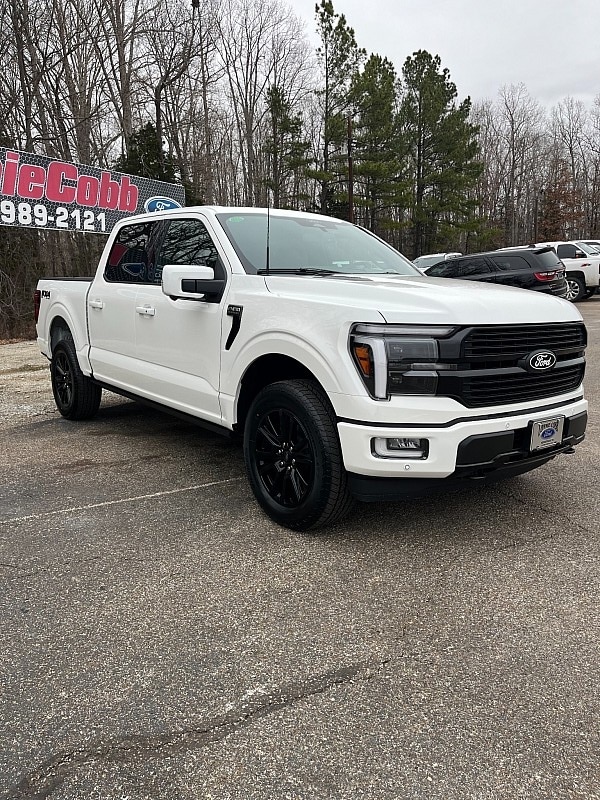 2025 Ford F-150 Platinum's photo