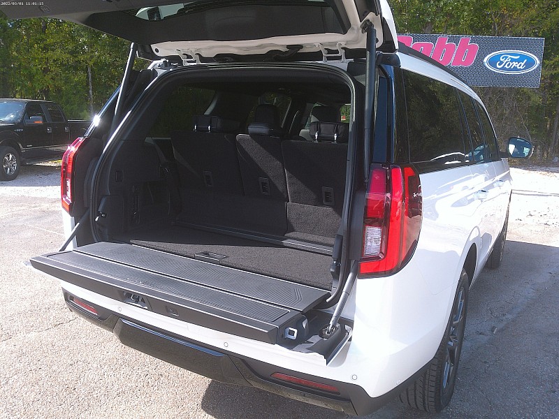 2025 Ford Expedition Platinum - Photo 11