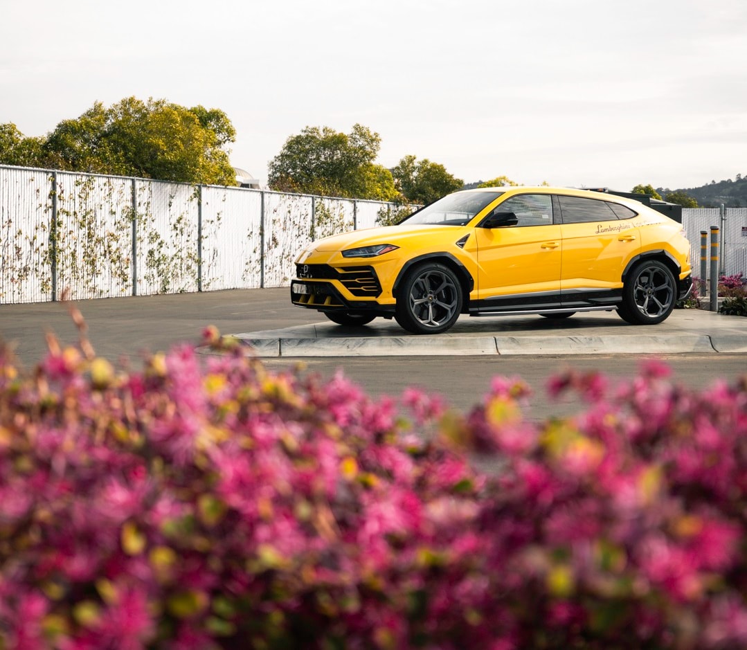 New and Used Aston Martin, Bentley, RollsRoyce and Bugatti Dealer Los Gatos