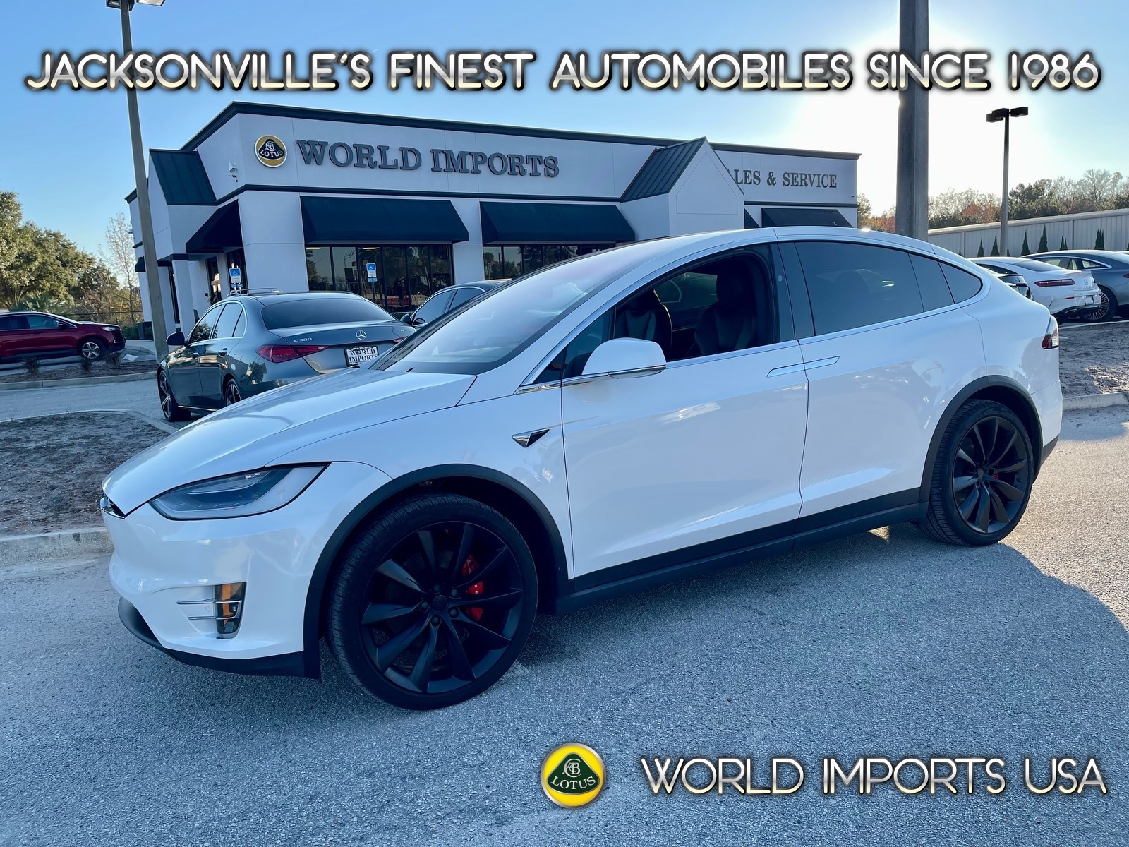 2021 Tesla Model X Performance