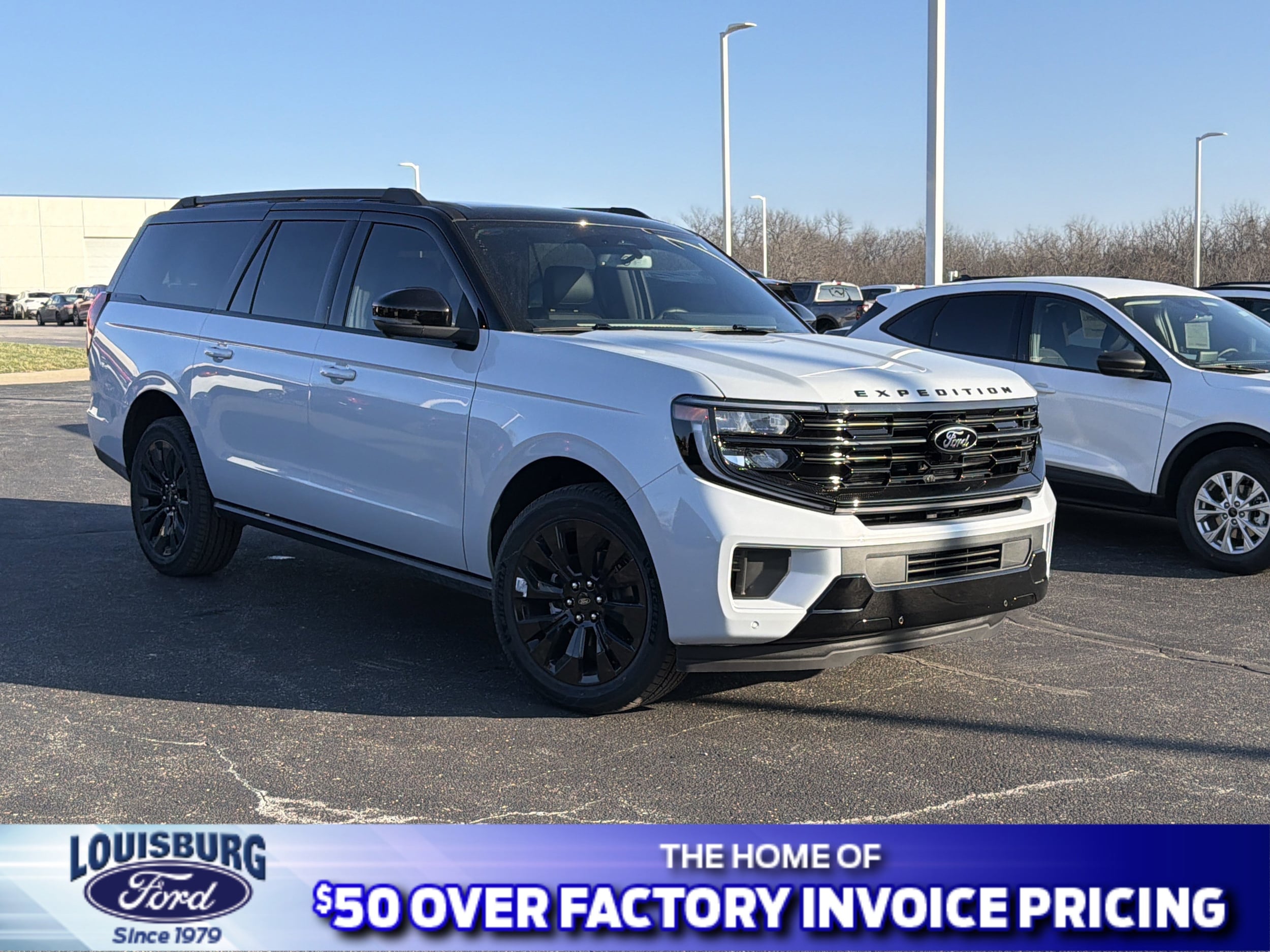 2025 Ford Expedition Platinum's photo