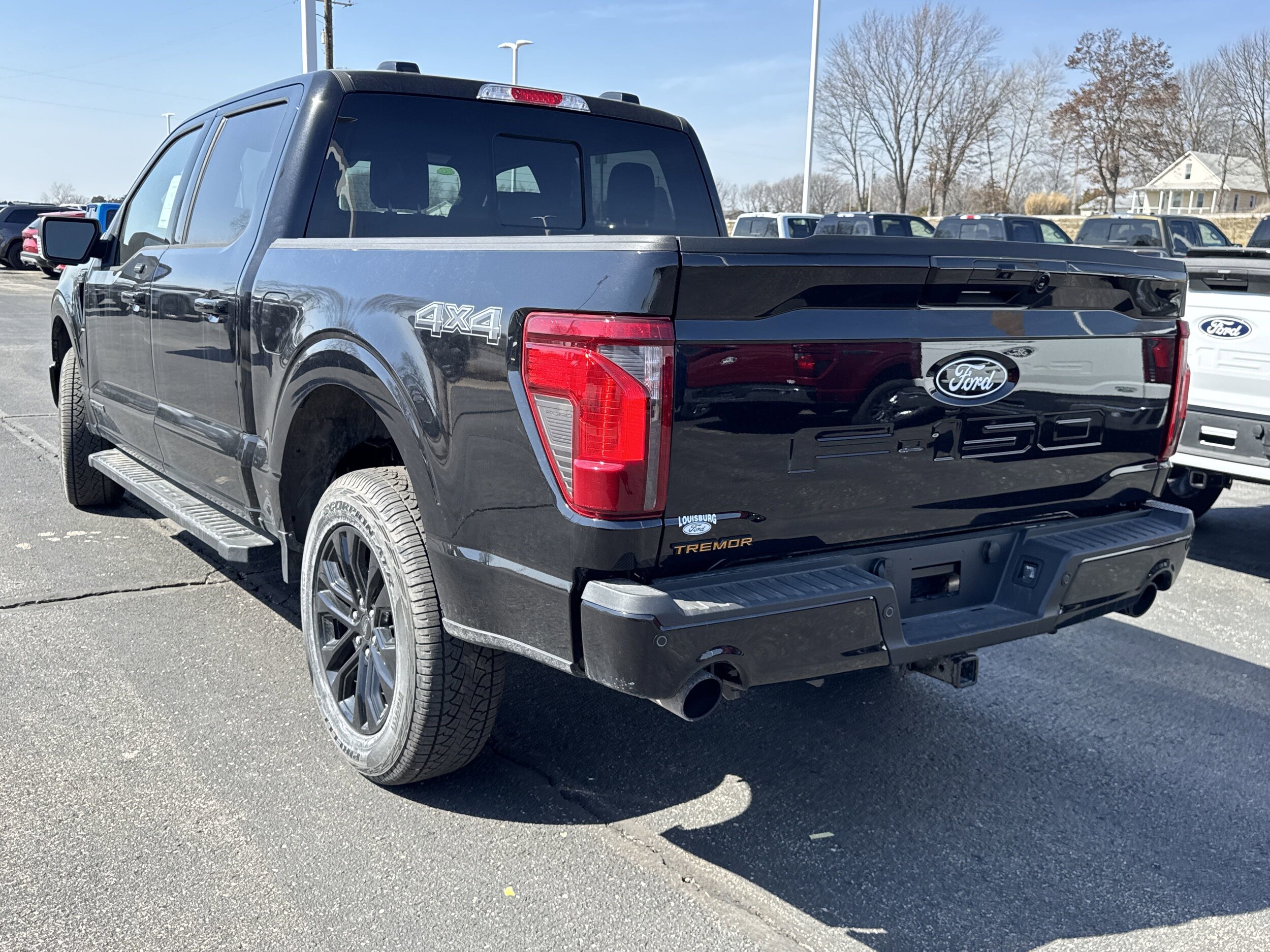 2025 Ford F-150 XLT photo 3