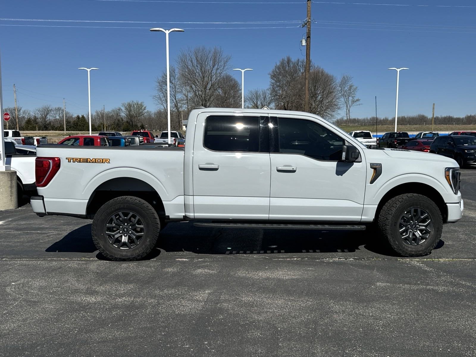 Used 2023 Ford F-150 Tremor with VIN 1FTEW1E8XPFB58622 for sale in Kansas City