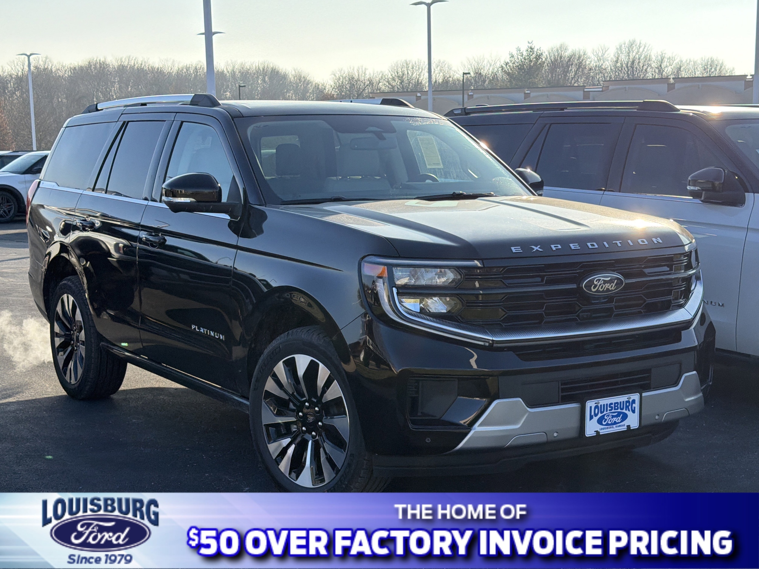 2025 Ford Expedition Platinum's photo