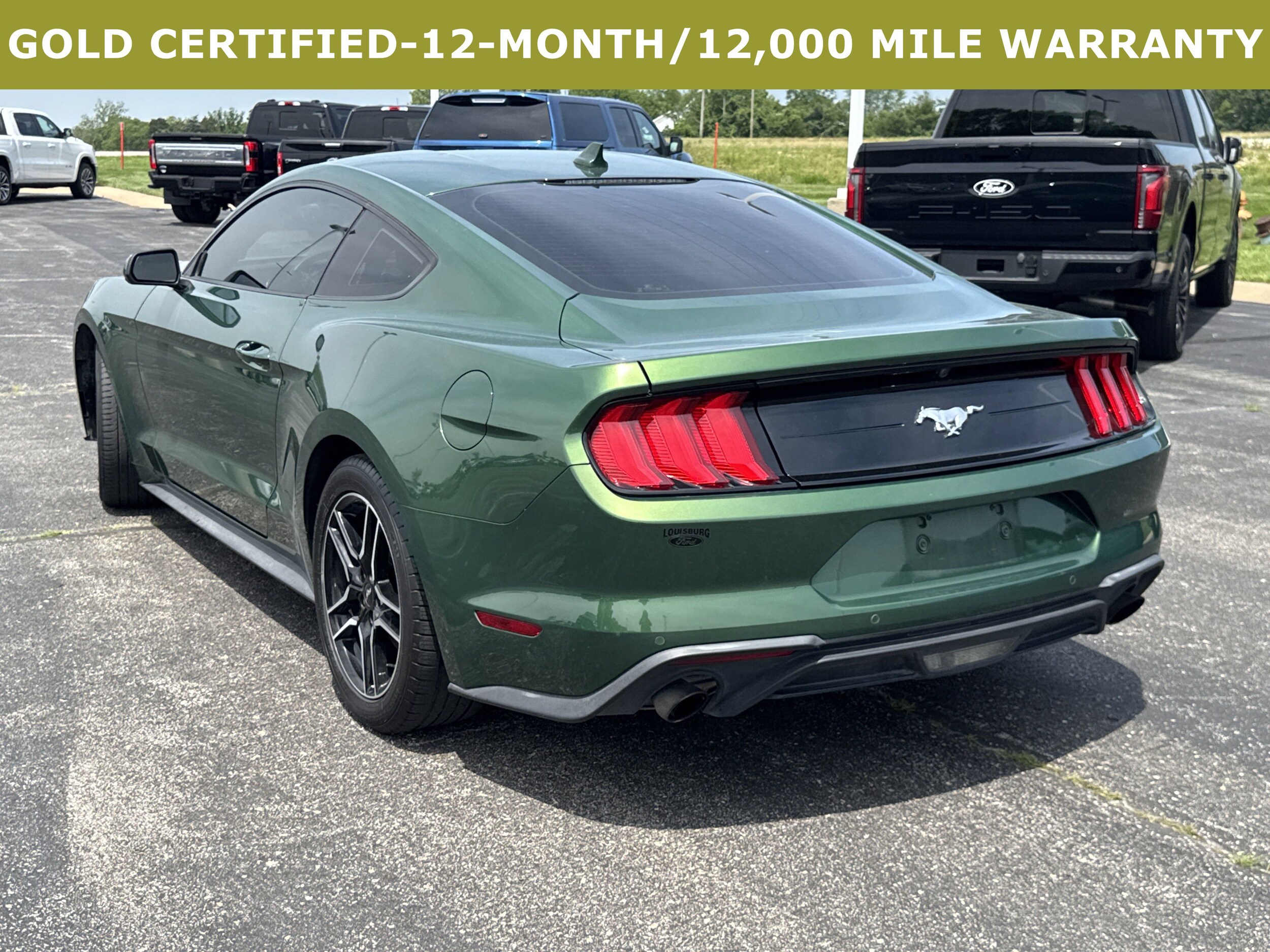 2023 Ford Mustang EcoBoost photo 3