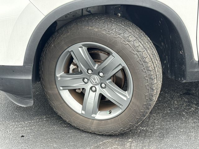 Photo 41