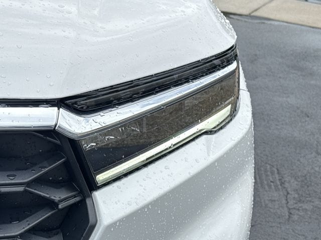 2025 Honda Pilot EX-L+ - Photo 14