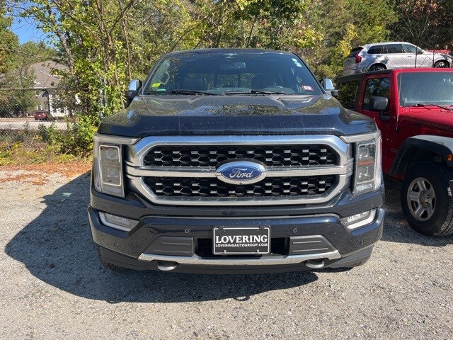 2023 Ford F-150 Platinum photo 2