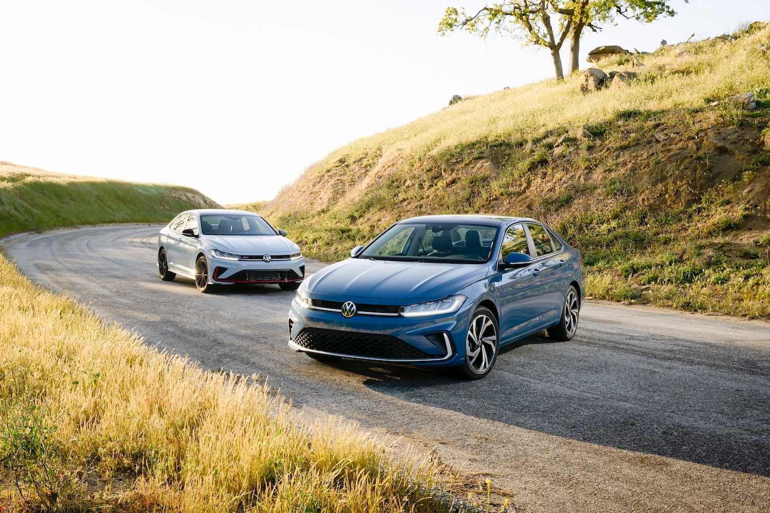 2027_Jetta_GLI_vs_Jetta_.jpg